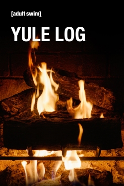 Adult Swim Yule Log-hd