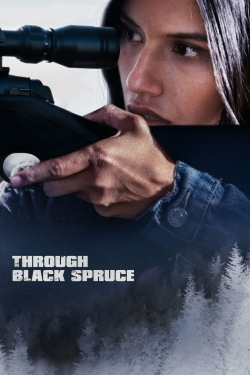 Through Black Spruce-hd