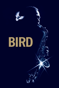 Bird-hd