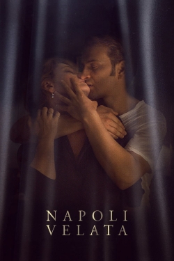 Naples in Veils-hd