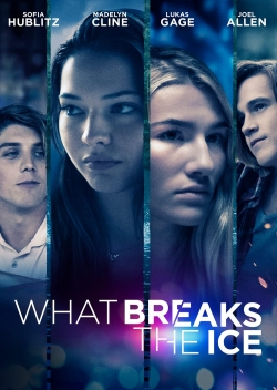 What Breaks the Ice-hd