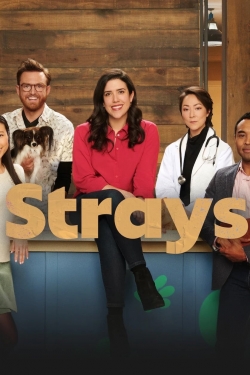 Strays-hd