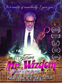 The Mysterious Mr. Wizdom-hd