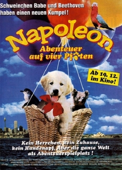 Napoleon-hd