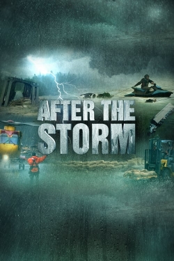 After the Storm-hd