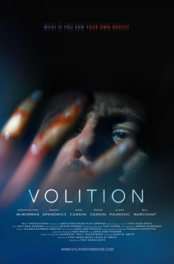 Volition-hd