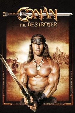 Conan the Destroyer-hd
