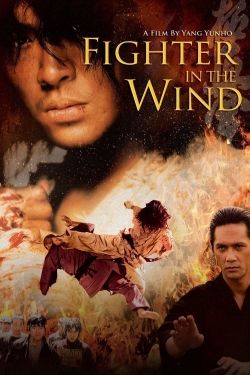 Fighter In The Wind-hd