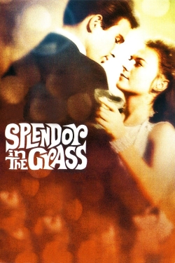 Splendor in the Grass-hd