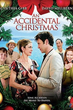 An Accidental Christmas-hd