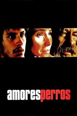 Amores Perros-hd