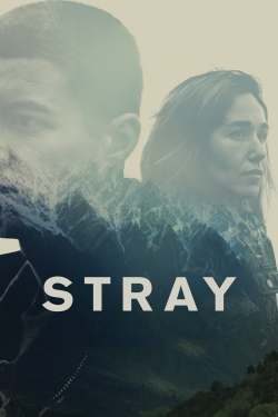 Stray-hd