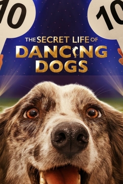 The Secret Life of Dancing Dogs-hd