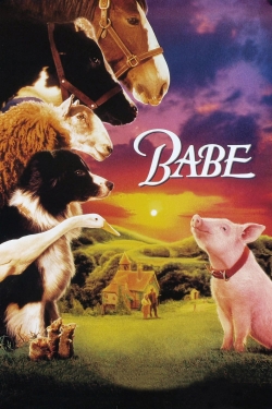 Babe-hd