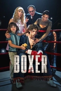 Boxer-hd