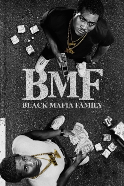 BMF-hd