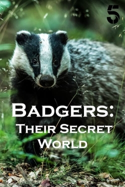 Badgers: Their Secret World-hd
