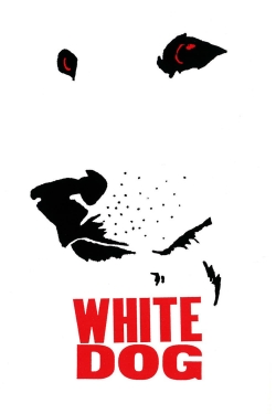 White Dog-hd