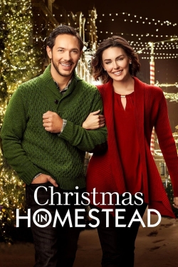 Christmas in Homestead-hd