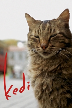 Kedi-hd