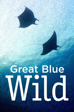 Great Blue Wild-hd