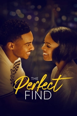 The Perfect Find-hd