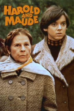 Harold and Maude-hd