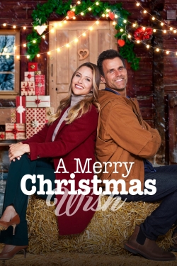 A Merry Christmas Wish-hd