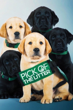 Pick of the Litter-hd