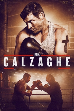 Mr. Calzaghe-hd